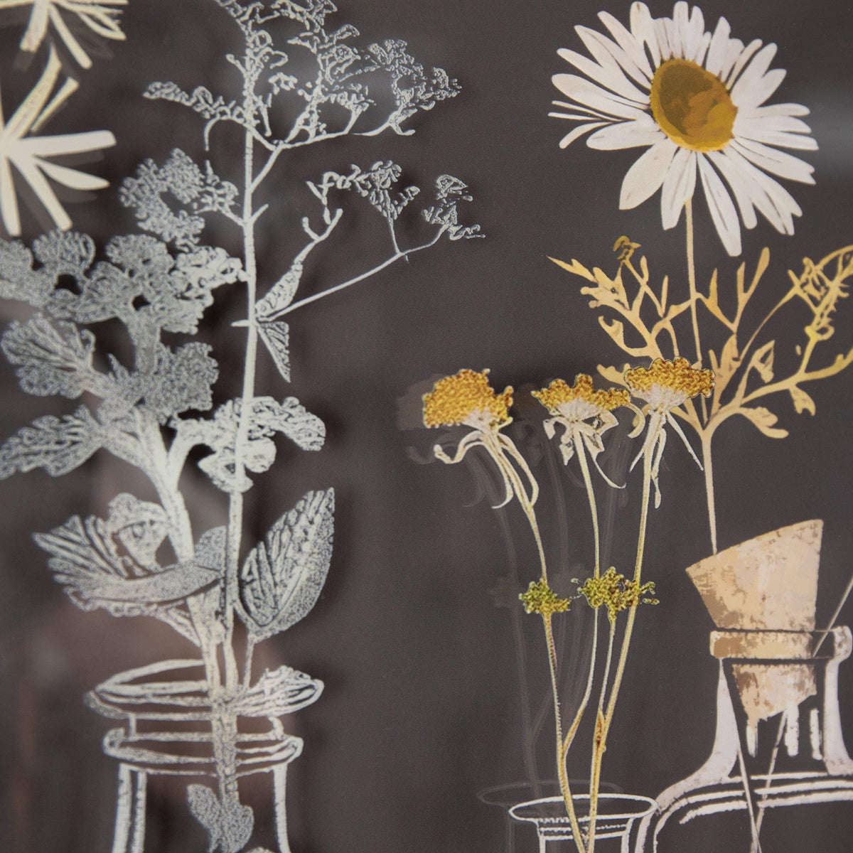 Bodhi Accessories The Foragers Framed Art House of Isabella UK