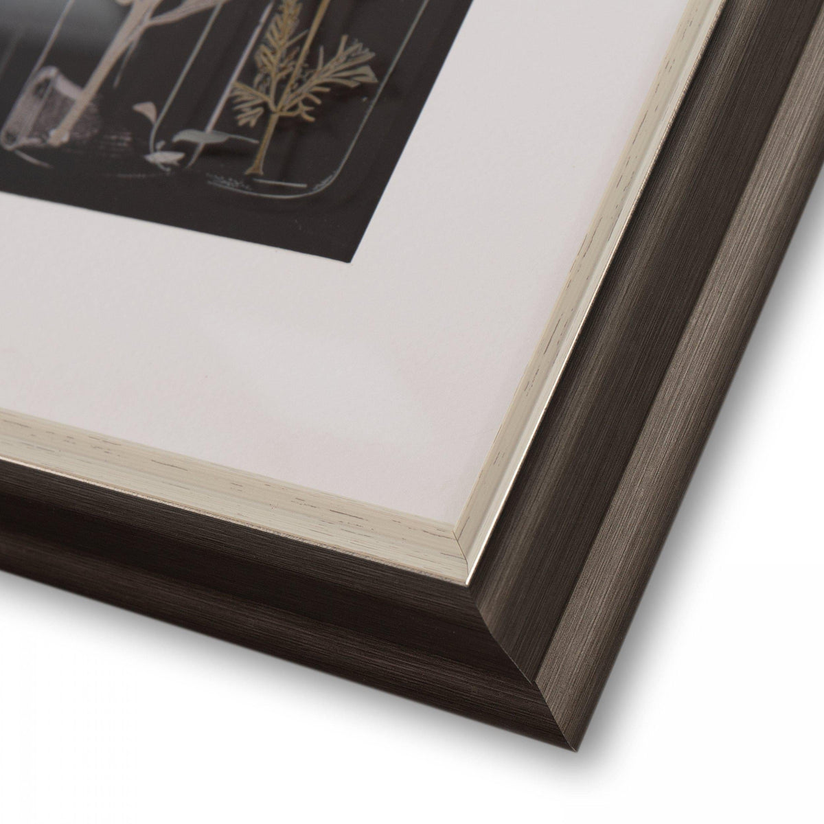 Bodhi Accessories The Foragers Framed Art House of Isabella UK