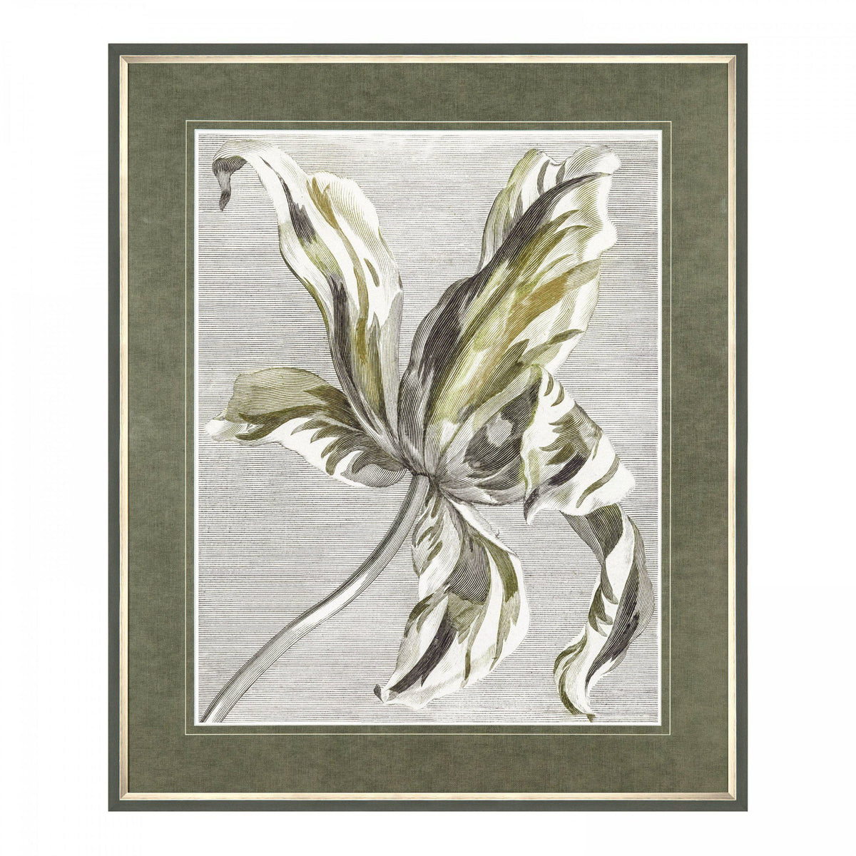 Bodhi Accessories Tulip Bloom Framed Art House of Isabella UK