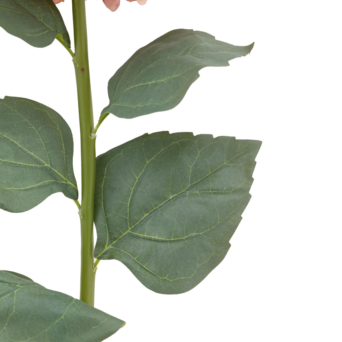 Bodhi Accessories Vintage Cone Hydrandea Stem Pink 12pk House of Isabella UK