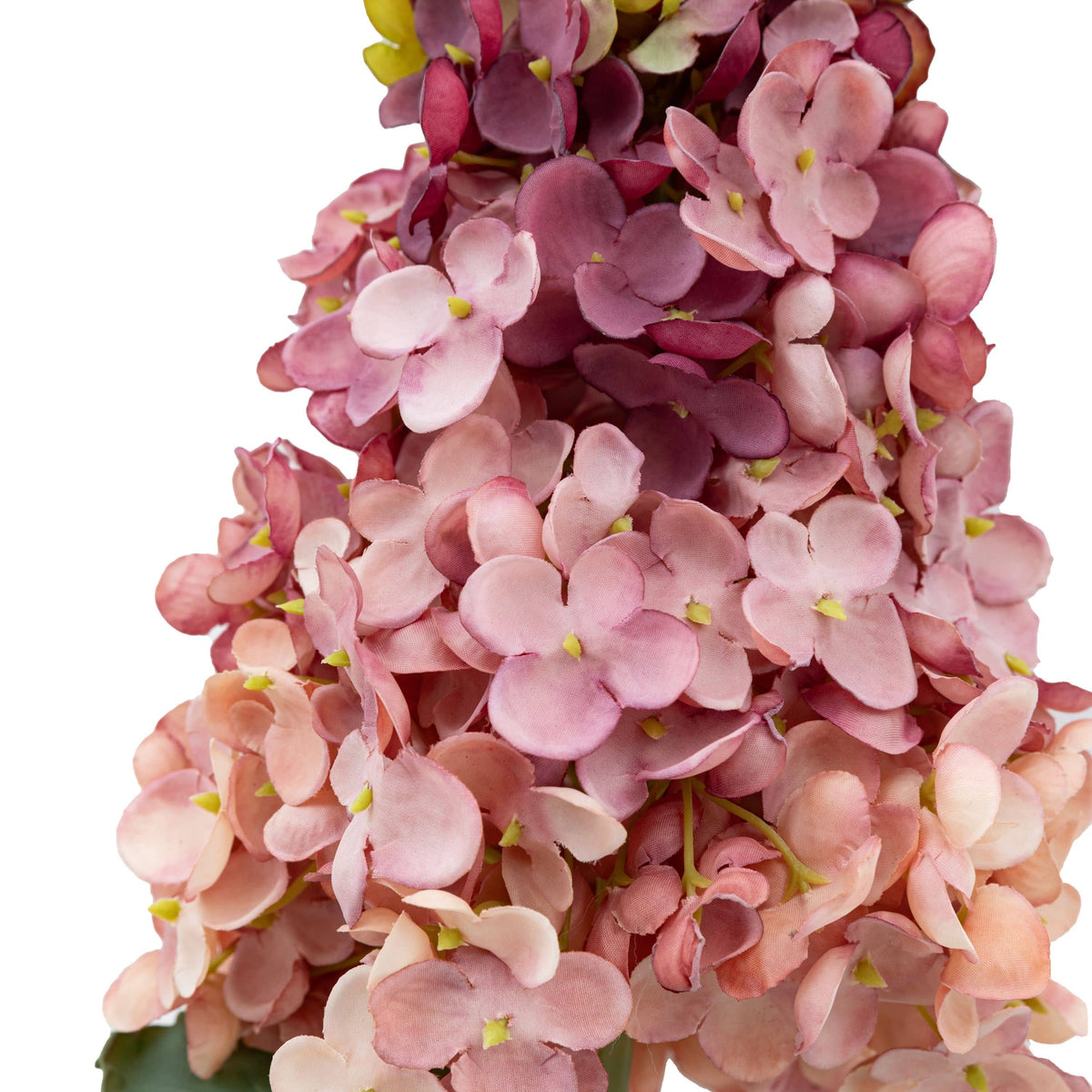 Bodhi Accessories Vintage Cone Hydrandea Stem Pink 12pk House of Isabella UK