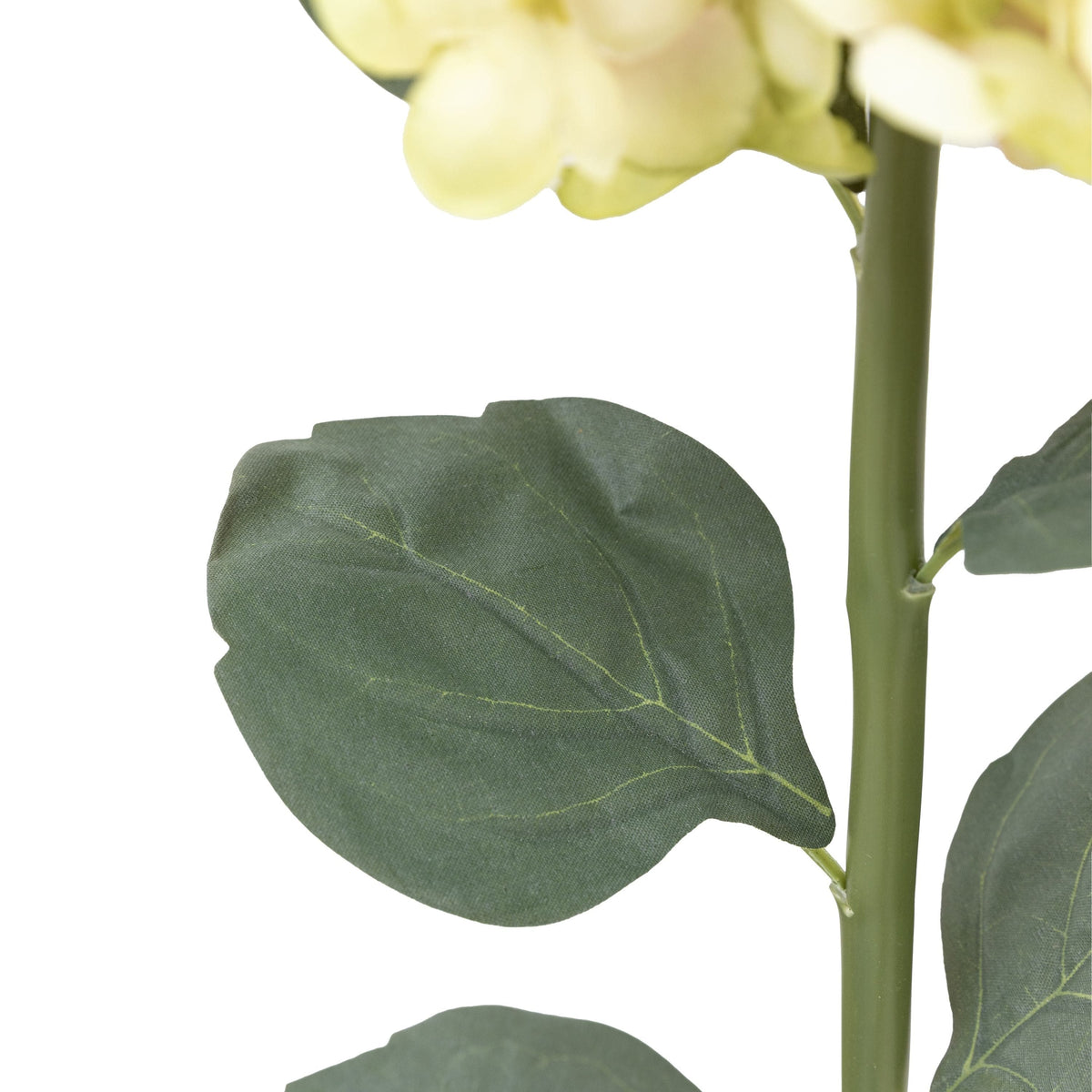 Bodhi Accessories Vintage Cone Hydrandea Stem White 12pk House of Isabella UK