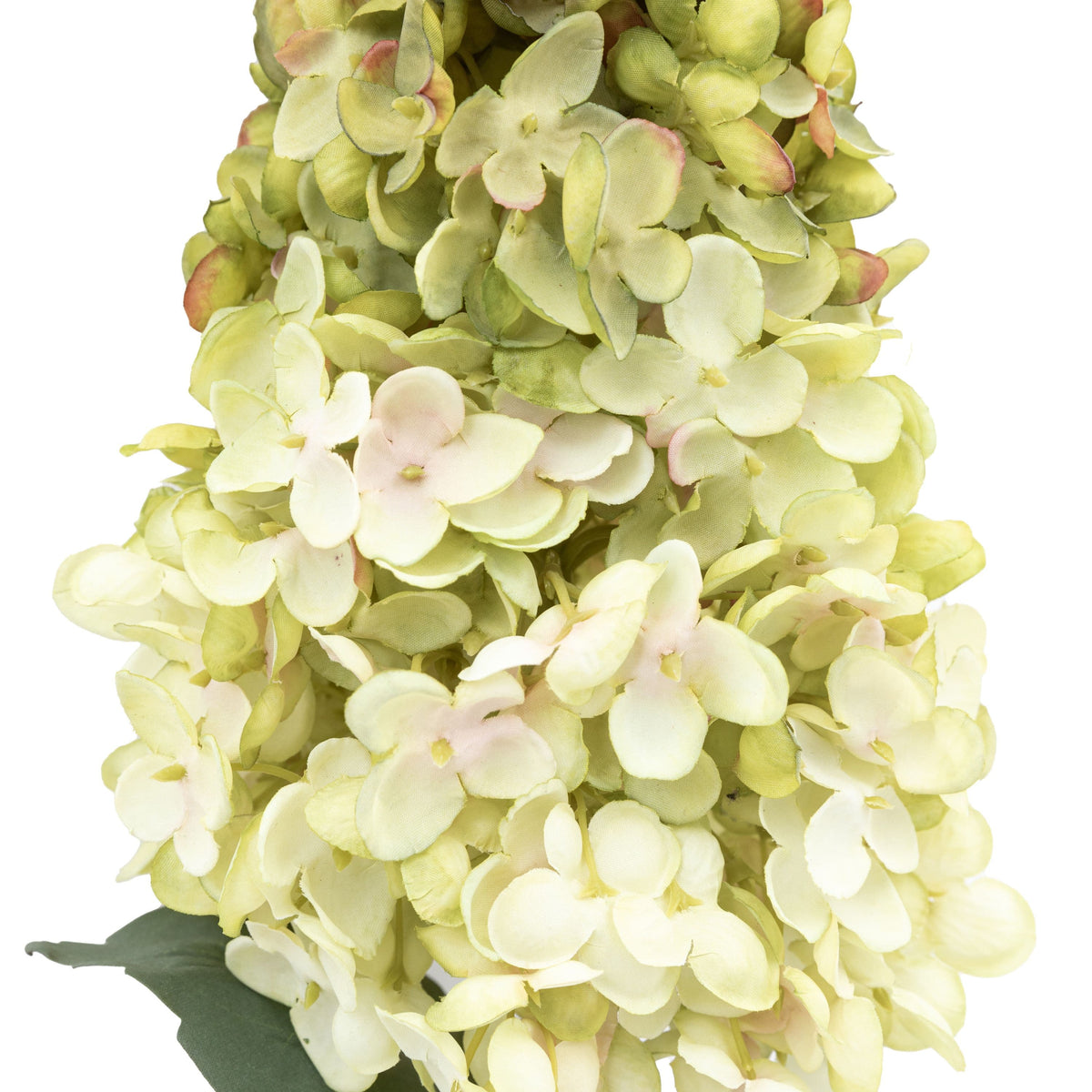 Bodhi Accessories Vintage Cone Hydrandea Stem White 12pk House of Isabella UK