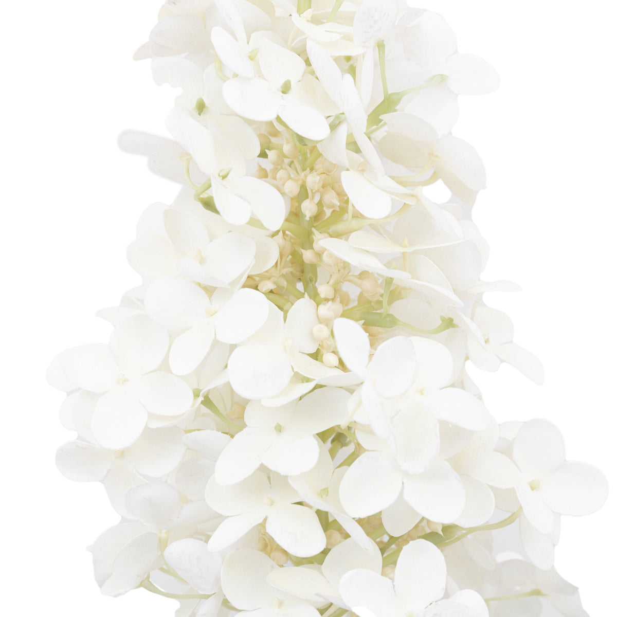 Bodhi Accessories Vintage Cone Hydrangea Floral Stem Ivory 12pk House of Isabella UK