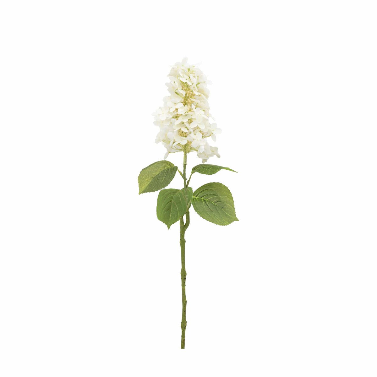 Bodhi Accessories Vintage Cone Hydrangea Floral Stem Ivory 12pk House of Isabella UK