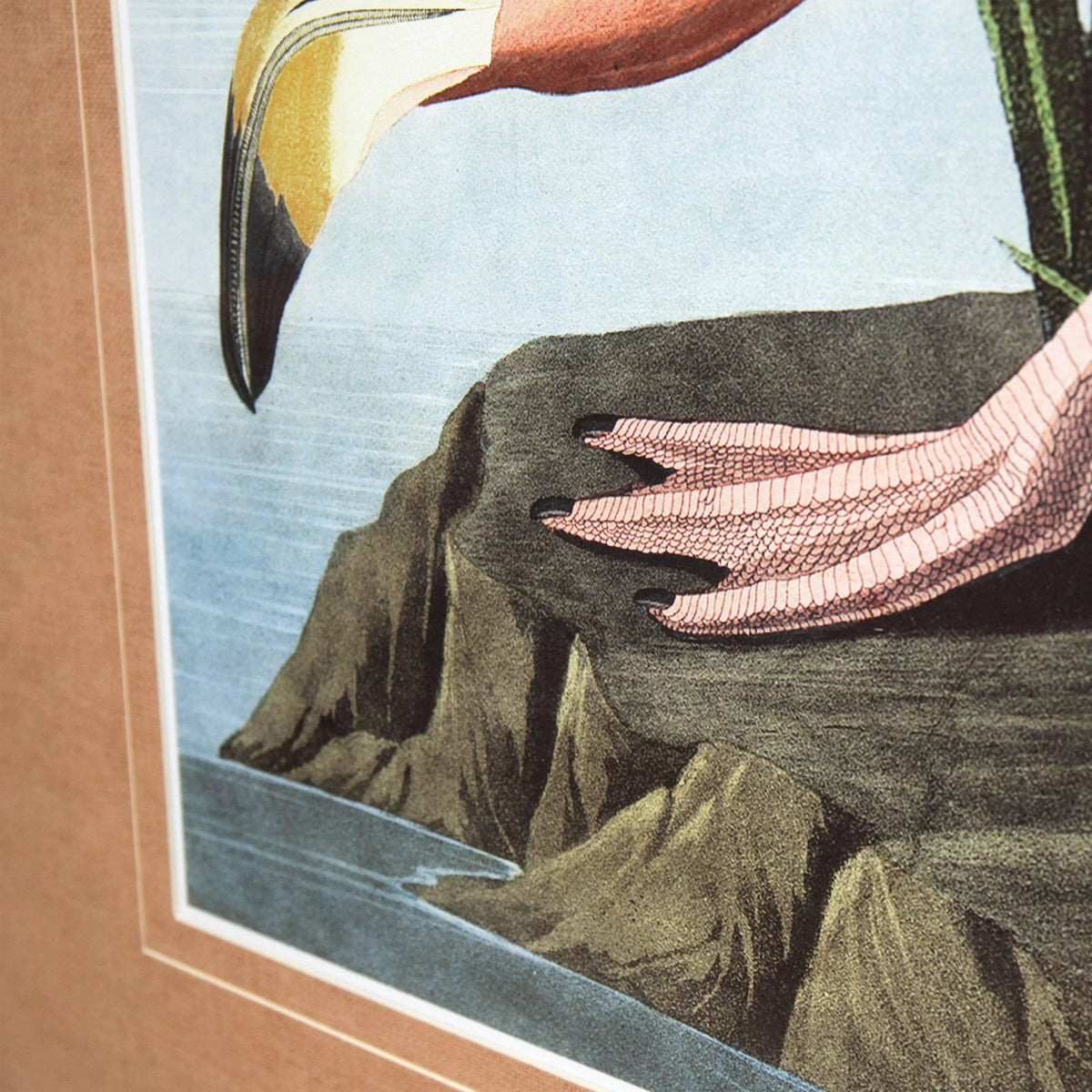 Vintage Flamingo Framed Art.