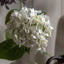 Bodhi Accessories Vintage Hydrangea Floral Stem Ivory 12pk House of Isabella UK