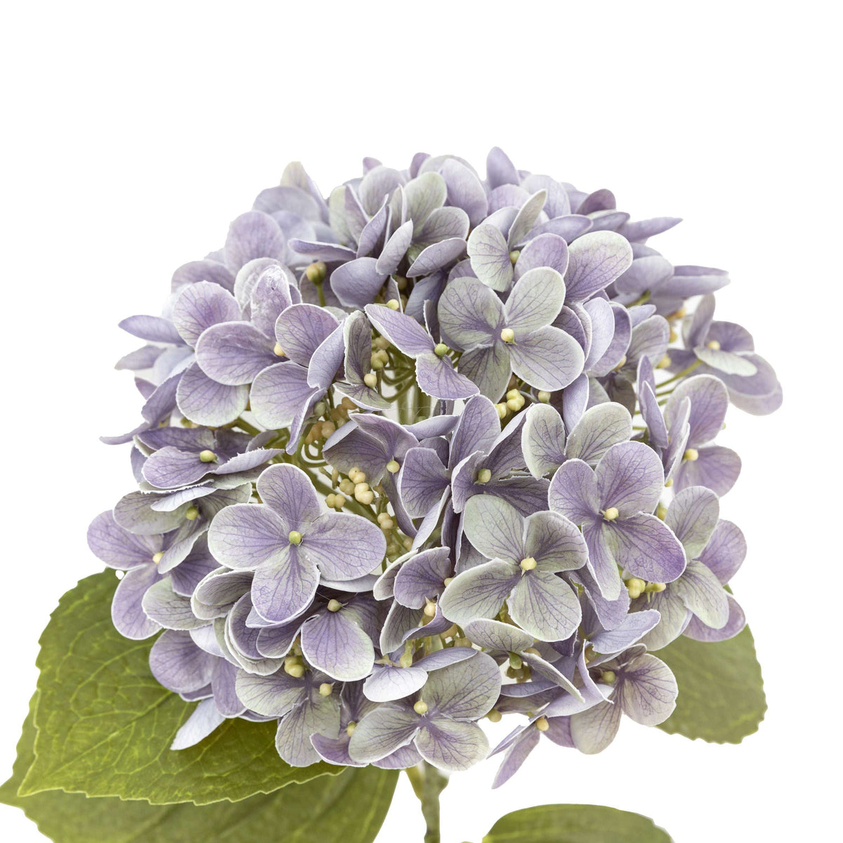 Bodhi Accessories Vintage Hydrangea Floral Stem Violet 12pk House of Isabella UK