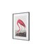 Bodhi Accessories Wading Flamingo Framed Art House of Isabella UK