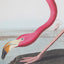 Bodhi Accessories Wading Flamingo Framed Art House of Isabella UK