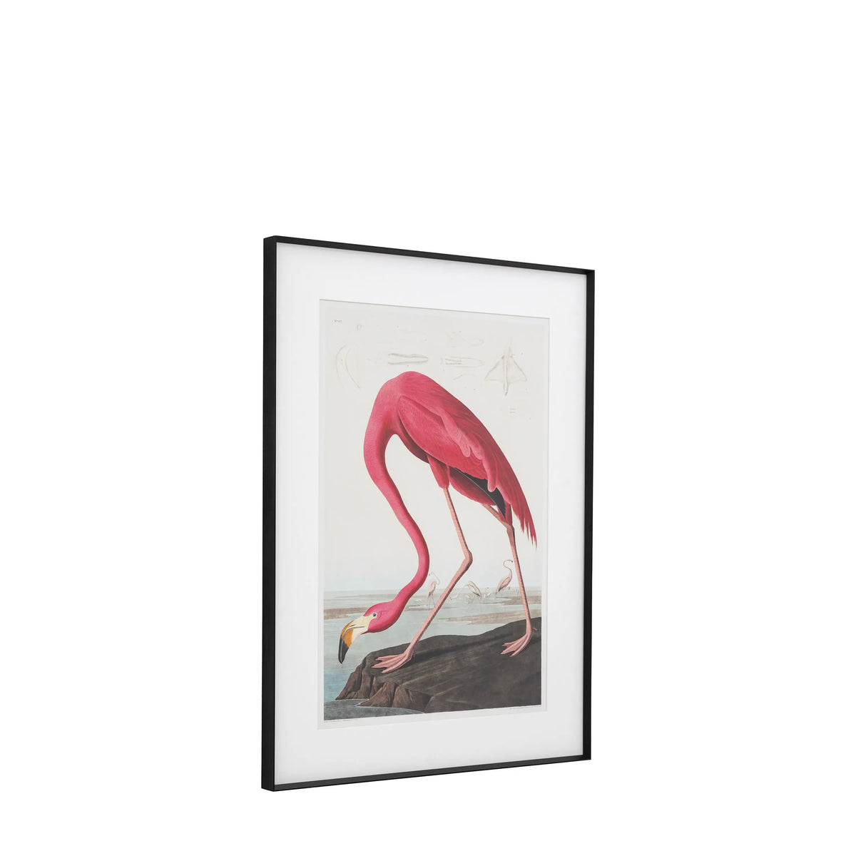 Bodhi Accessories Wading Flamingo Framed Art House of Isabella UK