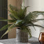 Bodhi Accessories Wide Fern in Concrete Pot House of Isabella UK