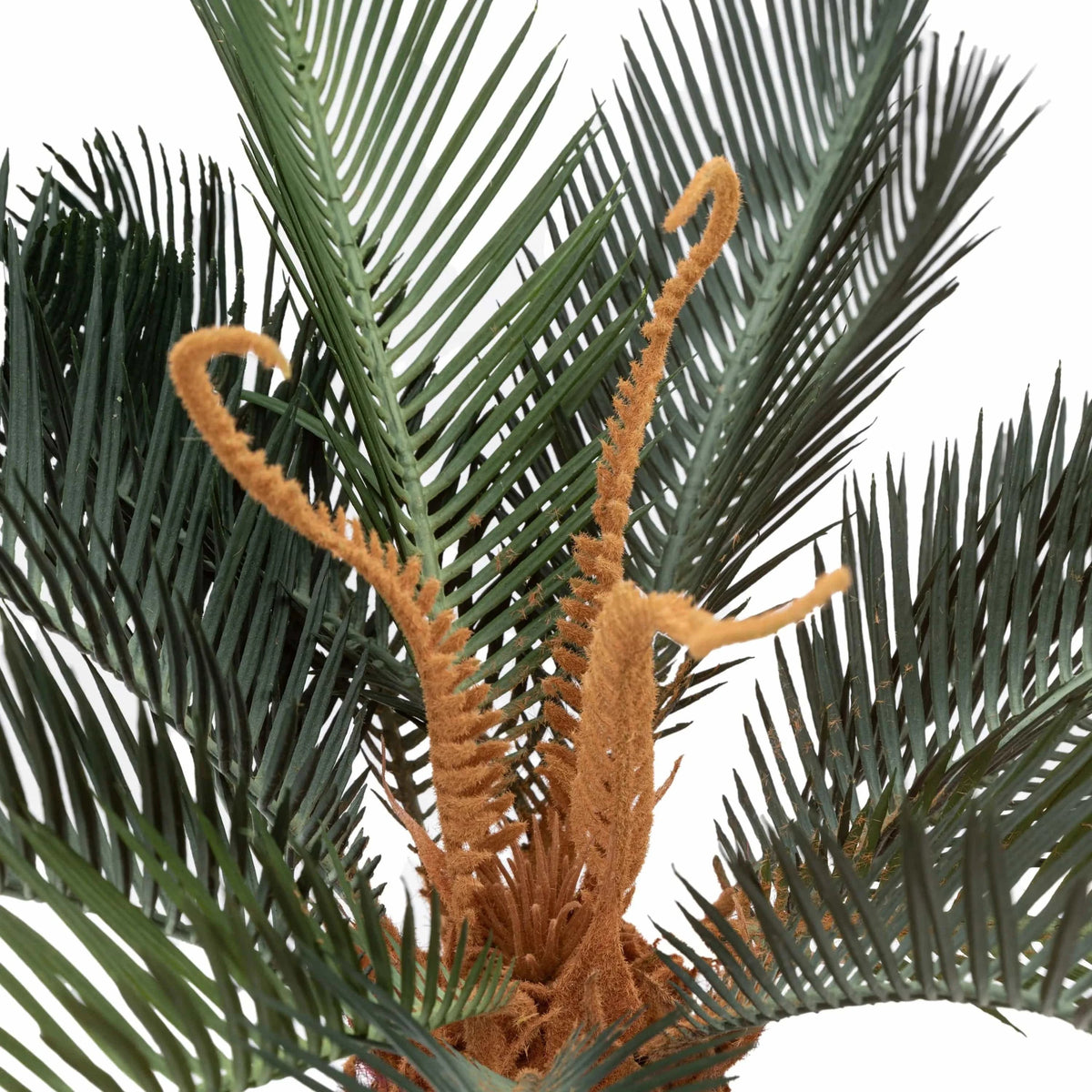 Bodhi Accessories Wide Palm in Concrete Pot House of Isabella UK