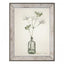 Bodhi Accessories Wild Parsnip Framed Art House of Isabella UK