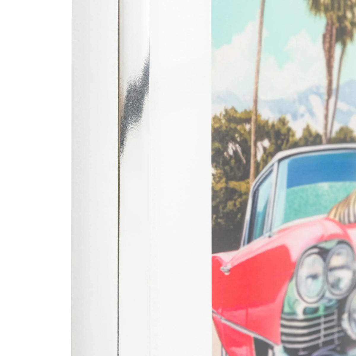 Bodhi Accessories Wild Rest Stop Framed Art House of Isabella UK