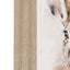 Bodhi Accessories Woodland Whiskers Framed Canvas Set of 2 House of Isabella UK