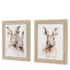 Bodhi Accessories Woodland Whiskers Framed Canvas Set of 2 House of Isabella UK