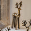 Bodhi Gifts & Hampers Stag Antique Gold Decoration House of Isabella UK