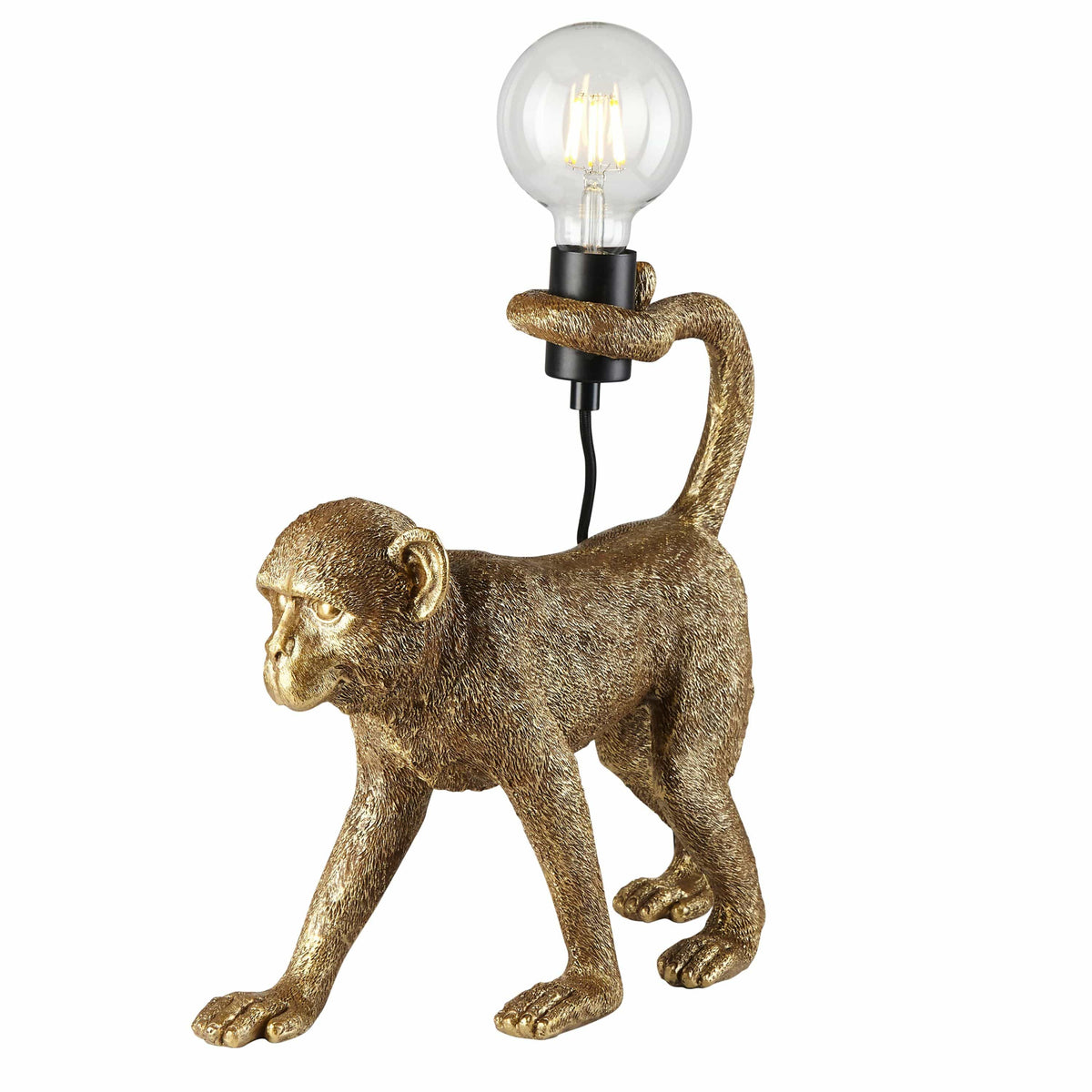 Capuchin 1 Table Lamp Gold.