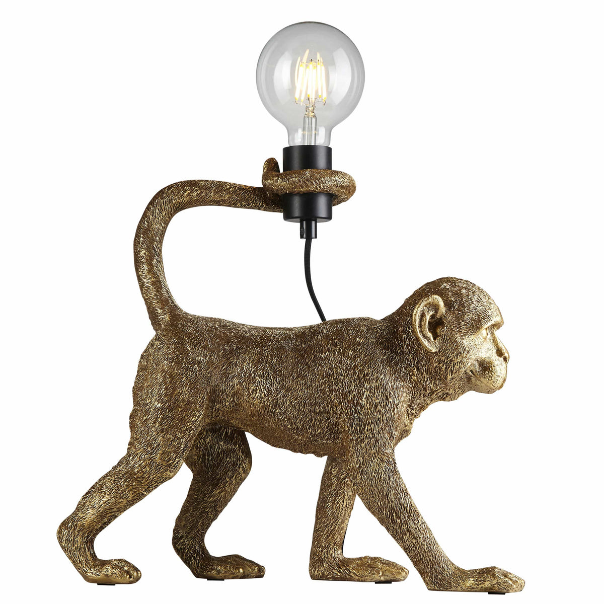 Capuchin 1 Table Lamp Gold.