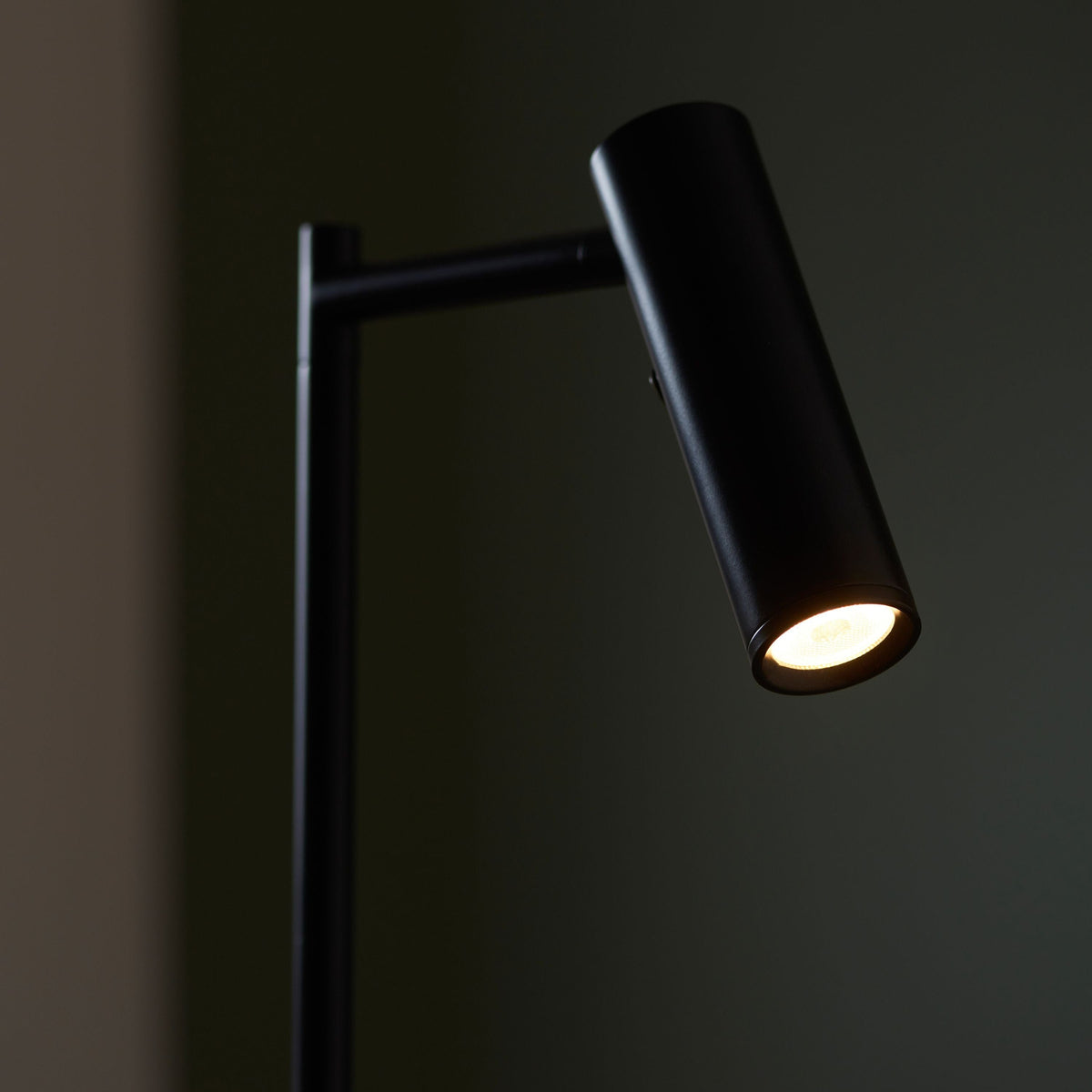 Dedicated Reader 1 Floor Lamp Matt Black.