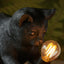 Kitten Table Lamp Black.
