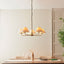 Bodhi Lighting Lille 5 Pendant Light Antique Brass House of Isabella UK