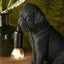 Bodhi Lighting Pug Puppy Table Lamp Black House of Isabella UK