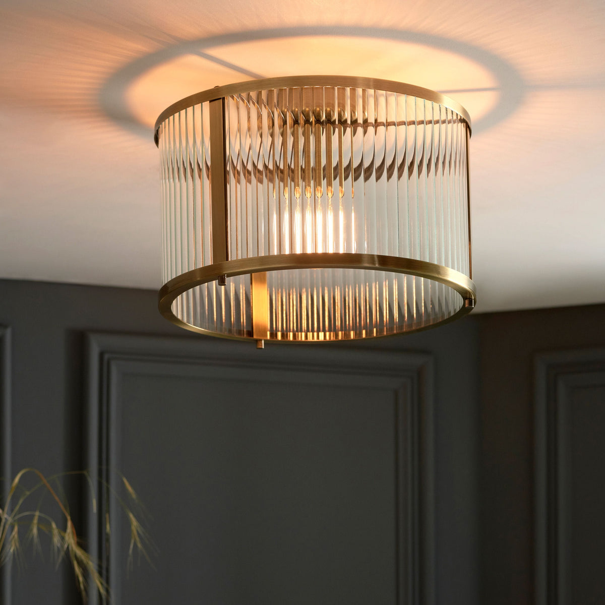 Ridgeton 1 Ceiling Light.