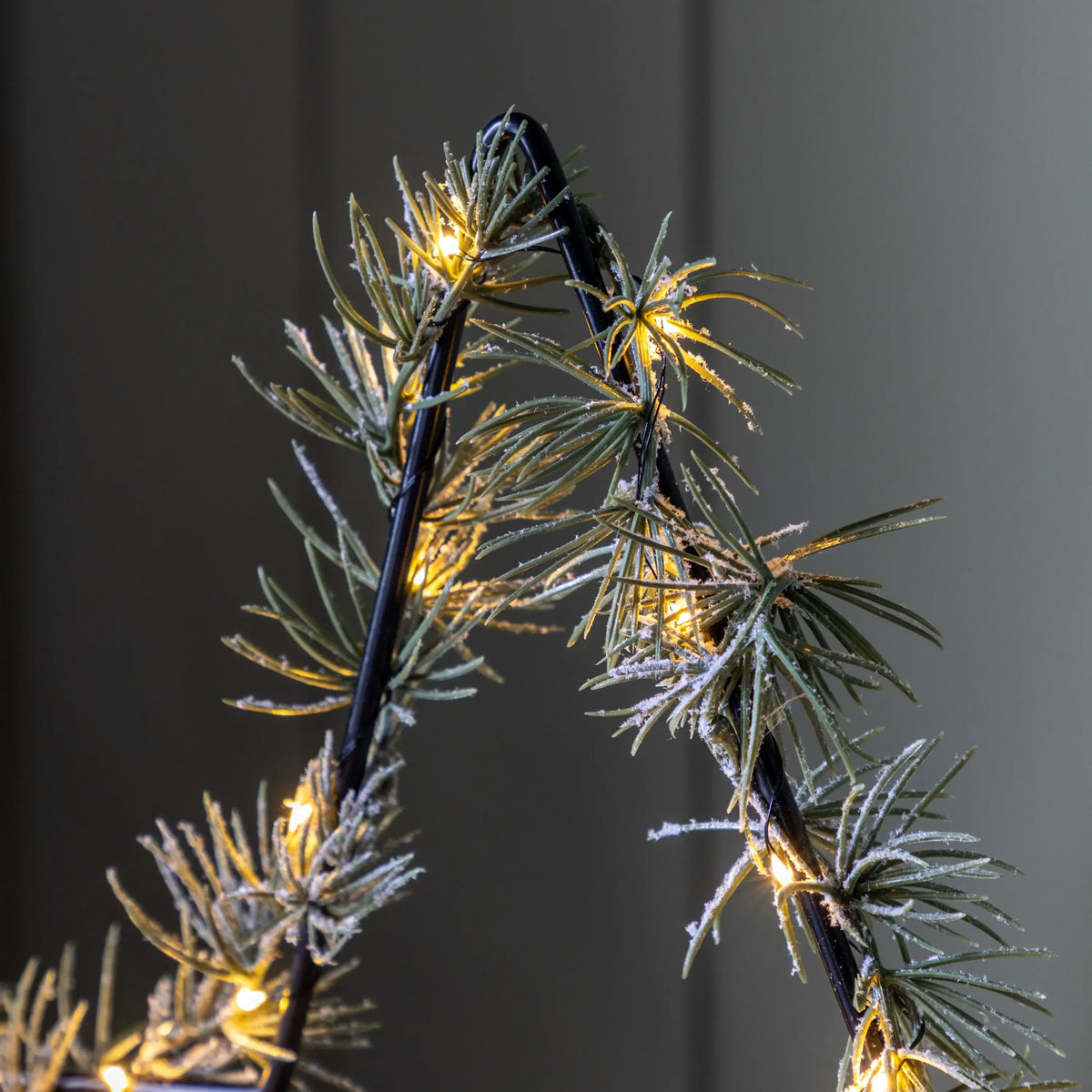 Bodhi Lighting Star with Pine LED Green 500x90x600mm House of Isabella UK