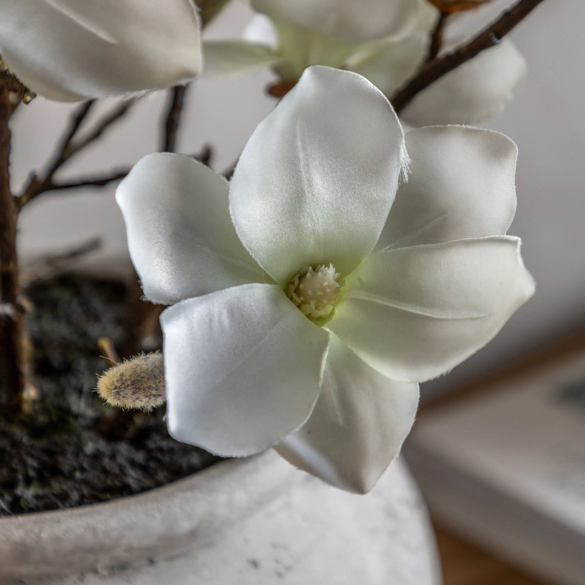 Bodhi Living Magnolia Vase Arrangement House of Isabella UK