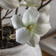 Bodhi Living Magnolia Vase Arrangement House of Isabella UK