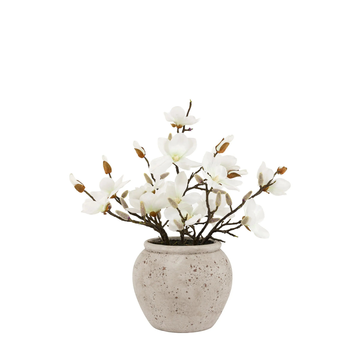 Bodhi Living Magnolia Vase Arrangement House of Isabella UK