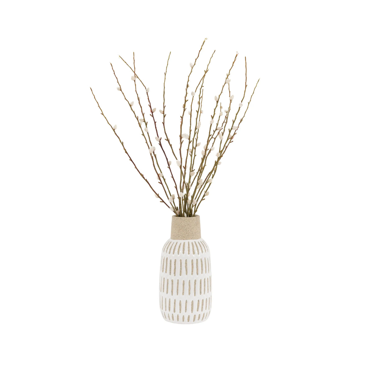 Bodhi Living Willow Stems Vase Arrangement House of Isabella UK