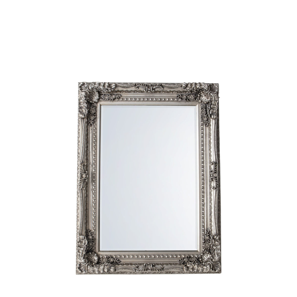 Bodhi Mirrors Carved Louis Mirror Silver House of Isabella UK