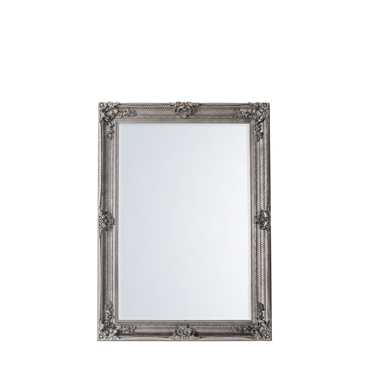 Abbots Rectangle Mirror Silver 43x31".