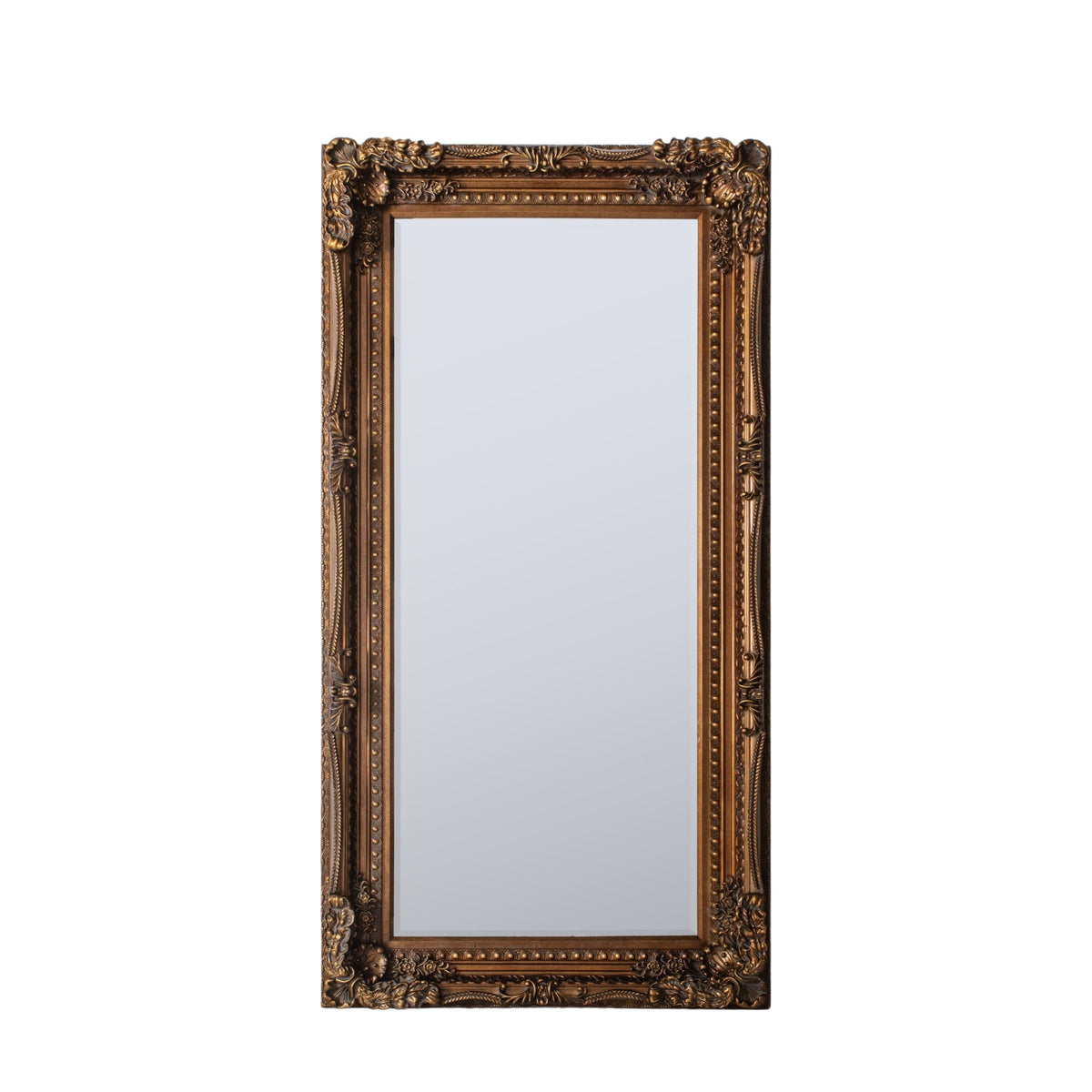 Birkby Louis Leaner Mirror Gold 69" x 35.5".