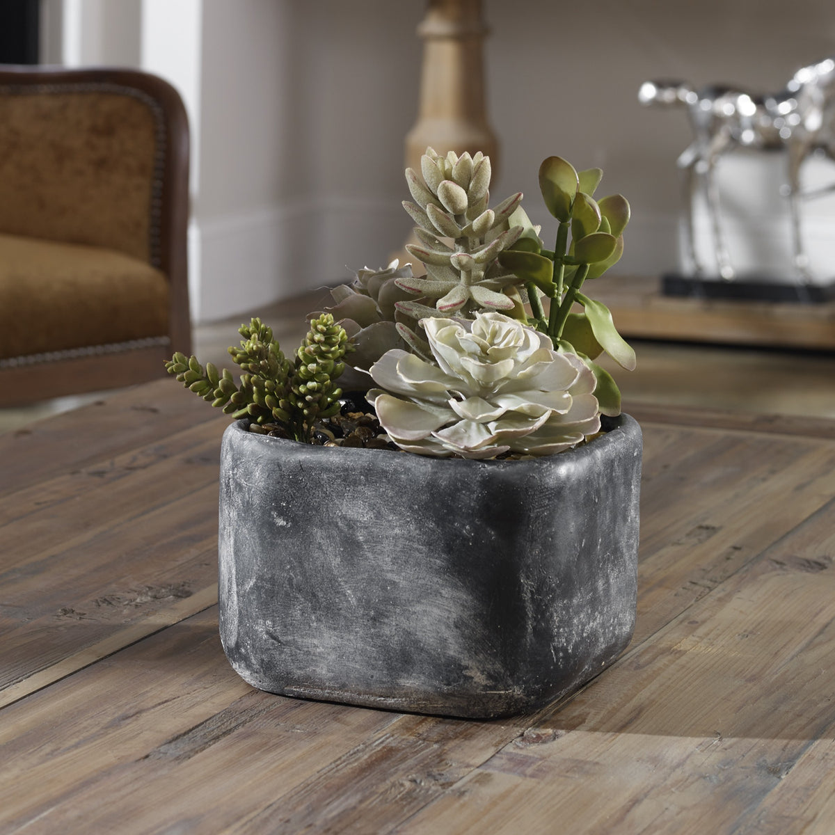 Alverio Desert Garden Succulents