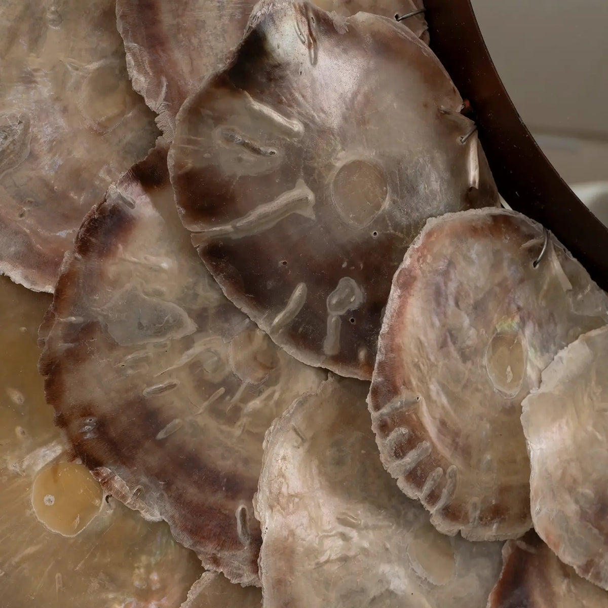 Capiz Shell Mirror 80cm