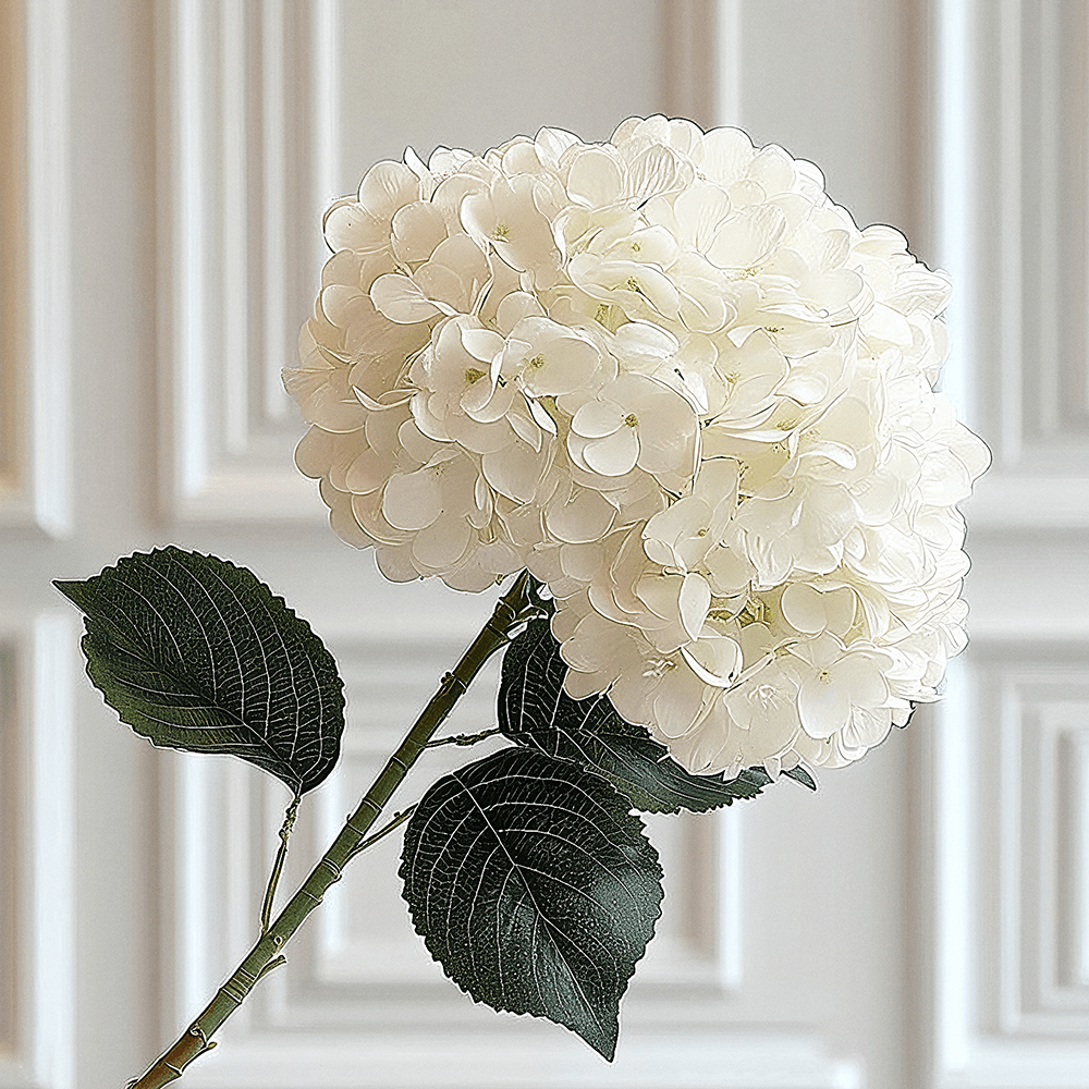 Cream Giant Pom Pom Hydrangea Single Stem Flower