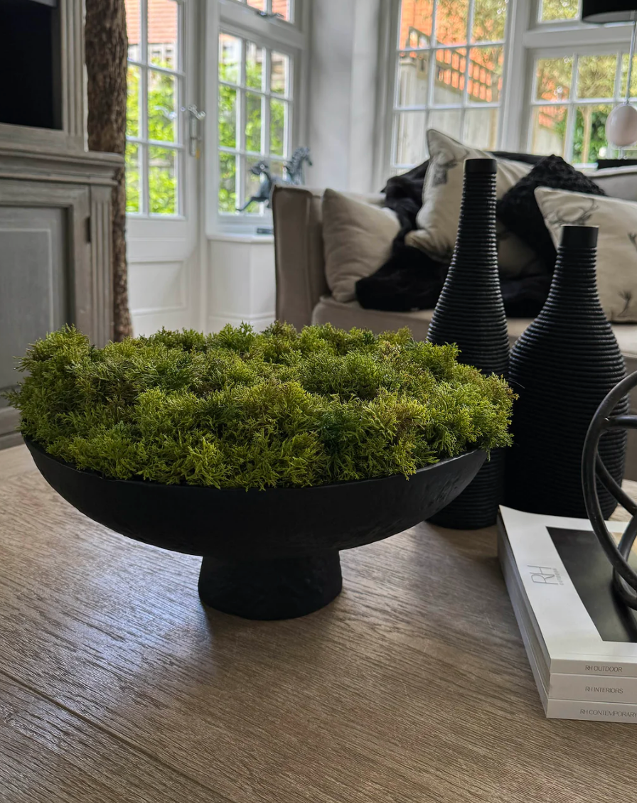 Curly Moss in a Matt Black Stone Footed Bowl
