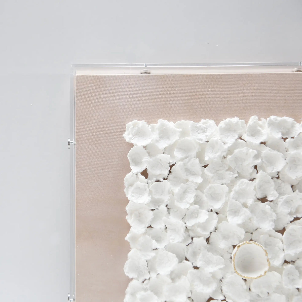 Petalcrest Handmade Dimensional Paper Wall Art