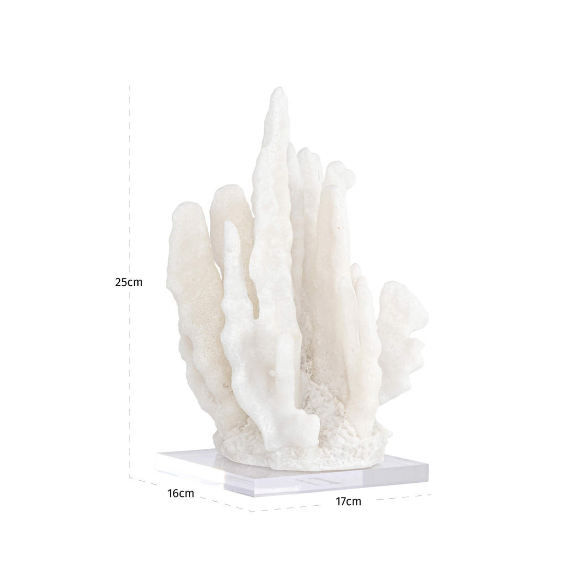 Decorative object Lilly white coral look