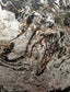 Eccotrading Design London Accessories Abstract Marble Painting House of Isabella UK