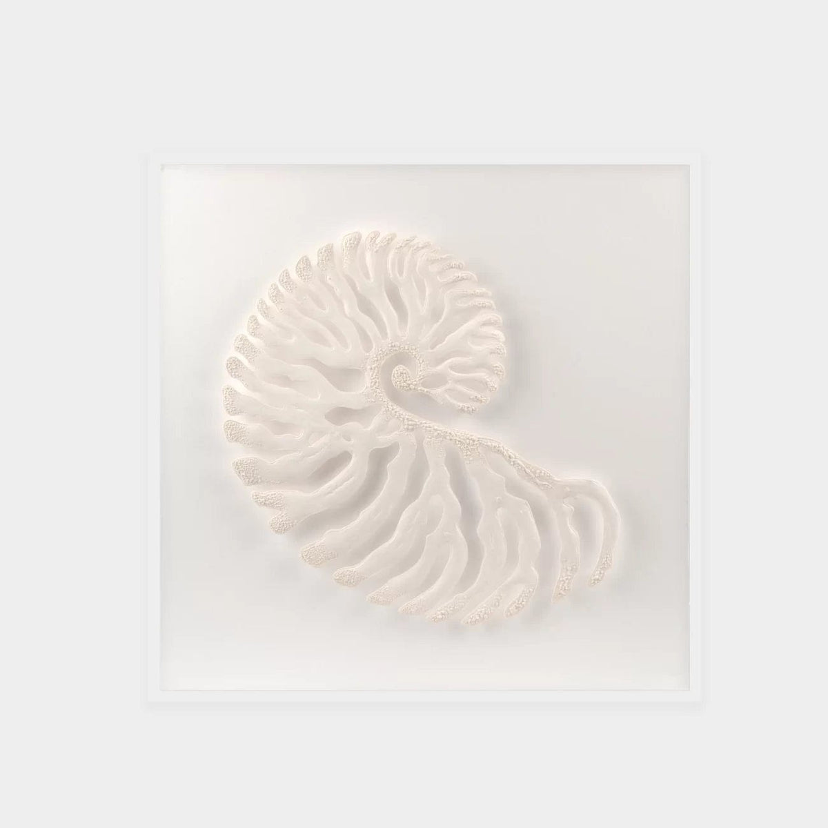 Abstract White Coral Wall Art 2.