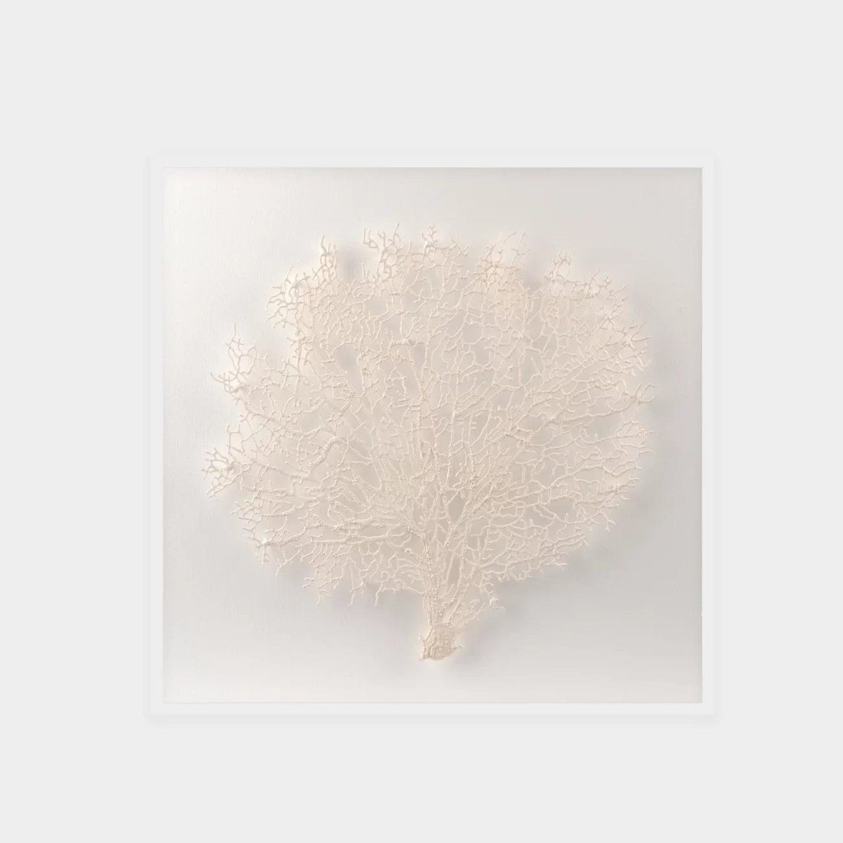 Abstract White Coral Wall Art 7.