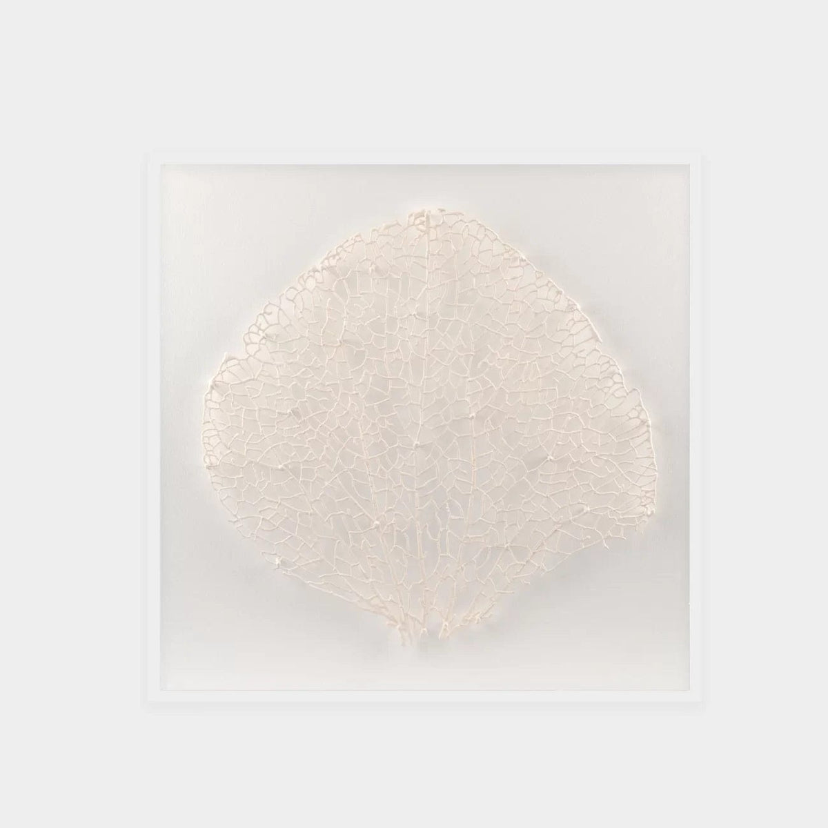Abstract White Coral Wall Art 8.
