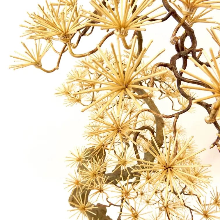 Bronze Bonsai Sculpture Large.