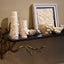Eccotrading Design London Accessories Bronze Coral Shelf House of Isabella UK