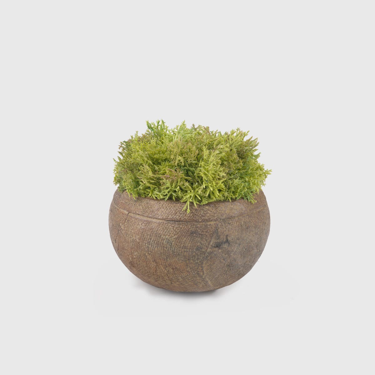 Eccotrading Design London Accessories Bronze Lava Greenery Bowl House of Isabella UK